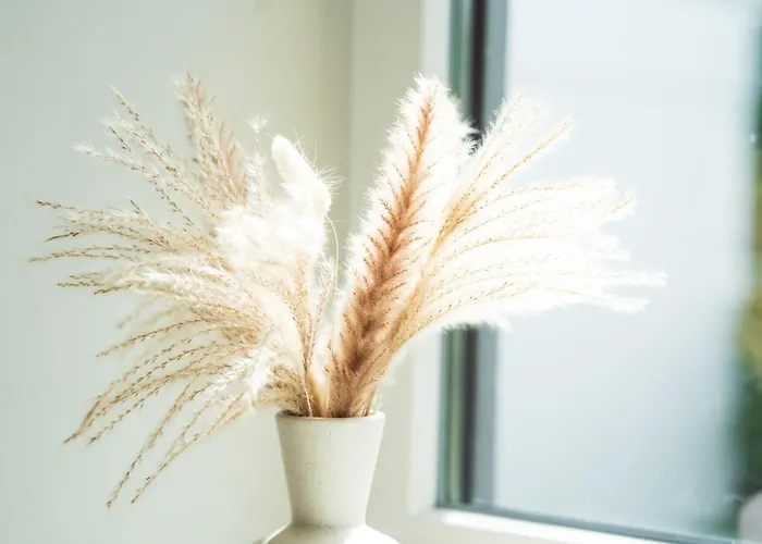 La Casa de Férias *